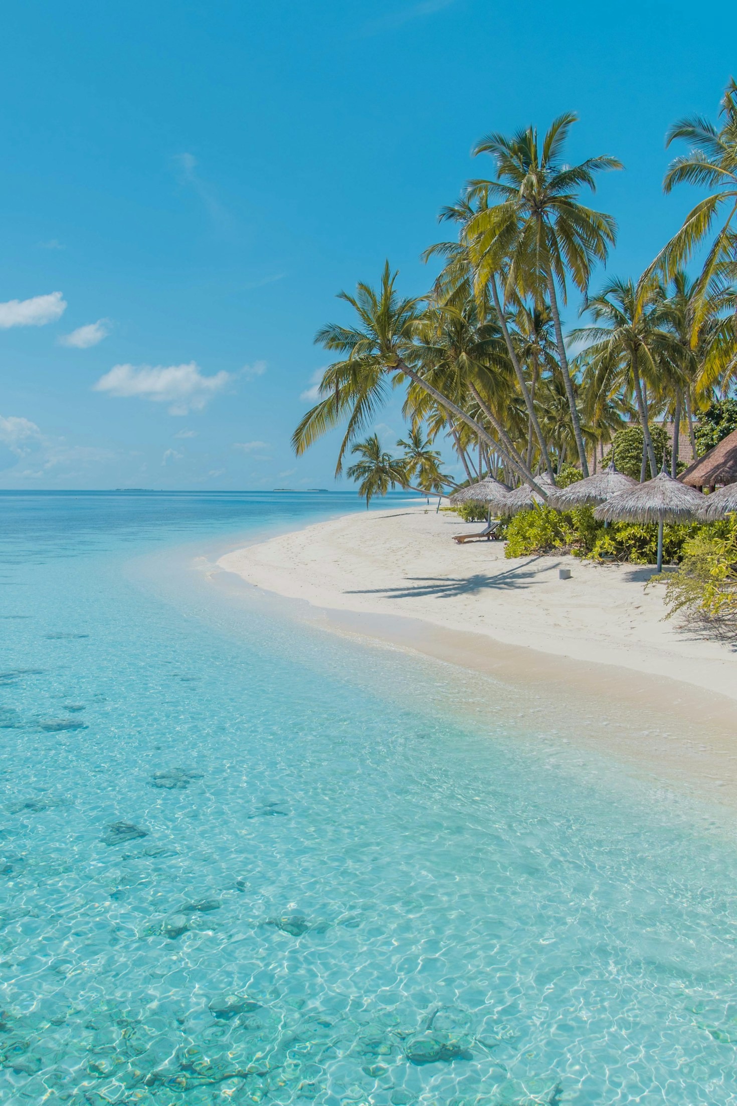 Como planejar férias perfeitas em Porto de Galinhas